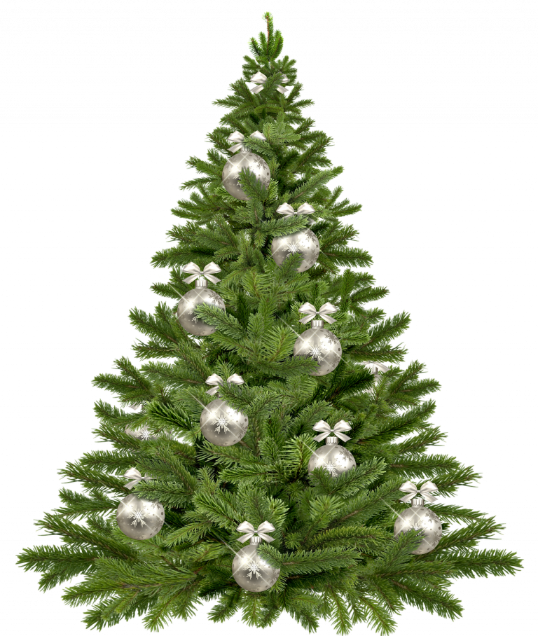 christmas tree, twigs, christmas-1853582.jpg
