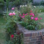 A wall with flowers