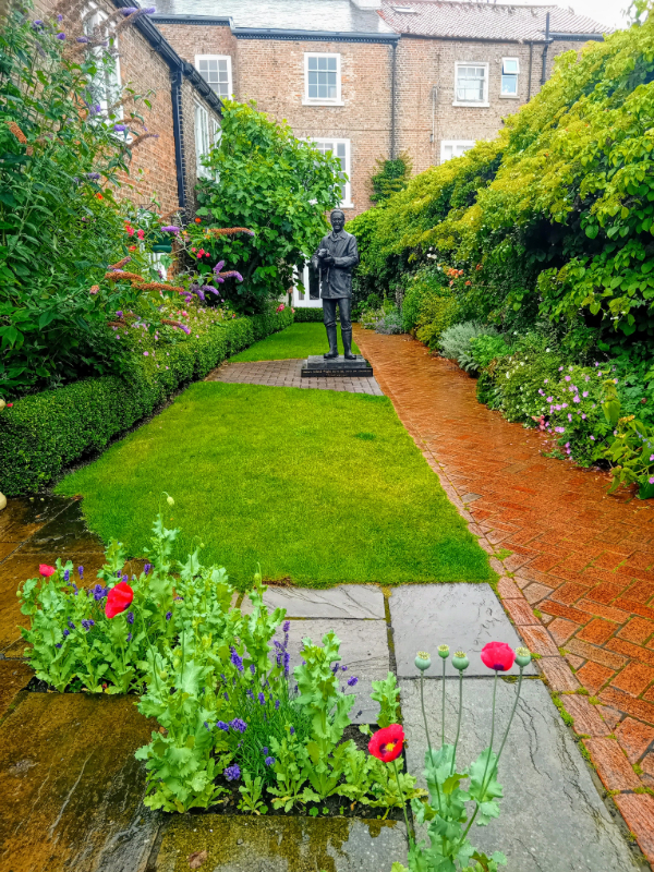 lawn in the rain.